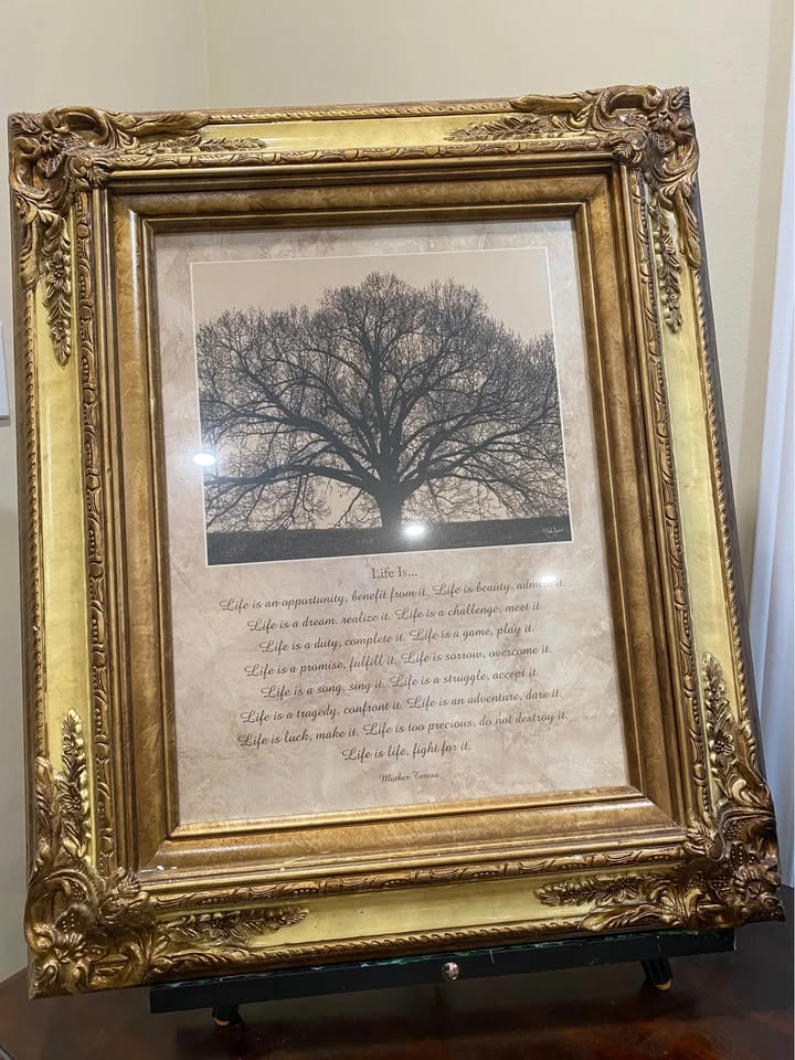 Framed Wall Art - Ornate Gold Frame 23.5x20” - photo 3