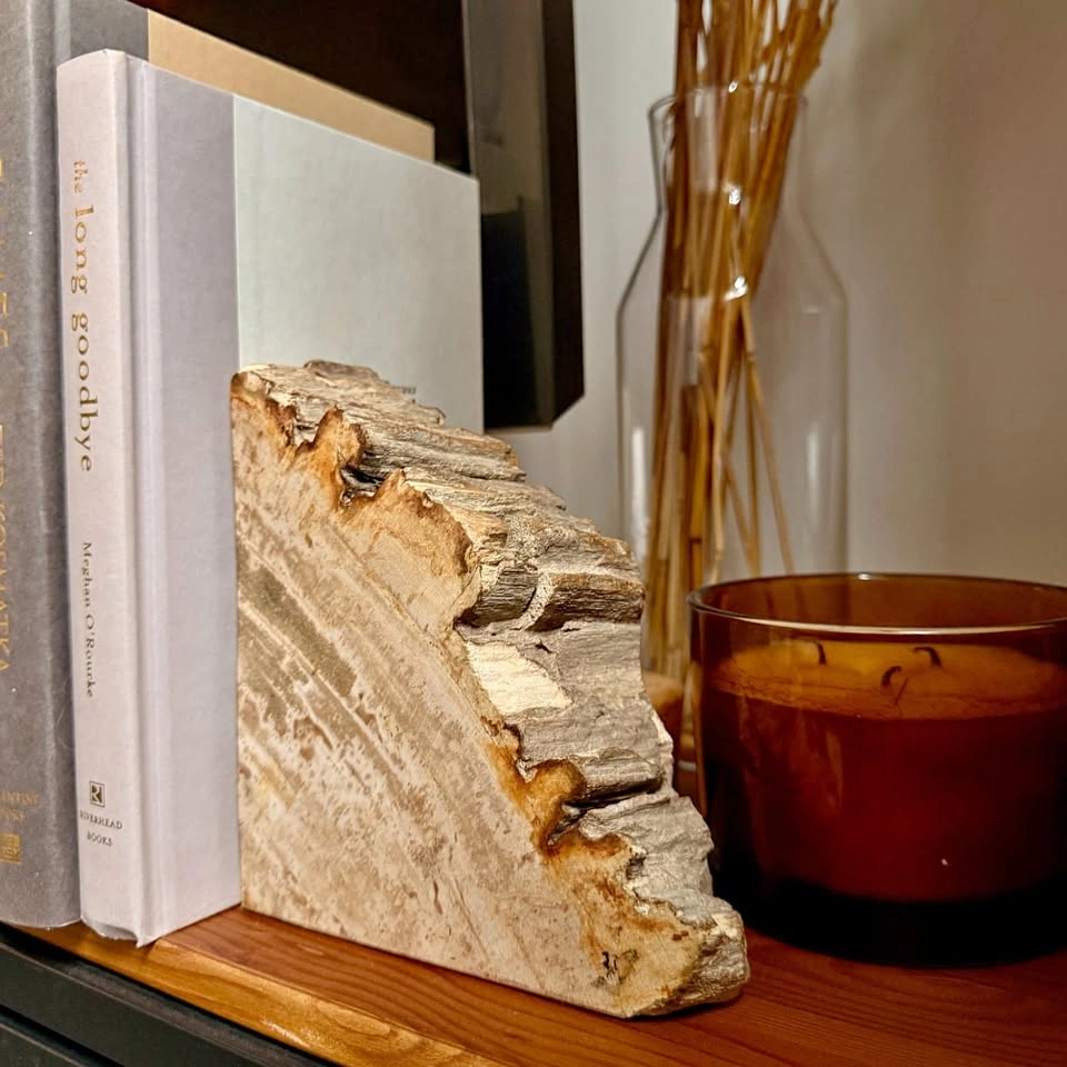 Petrified Wood Stone Bookend