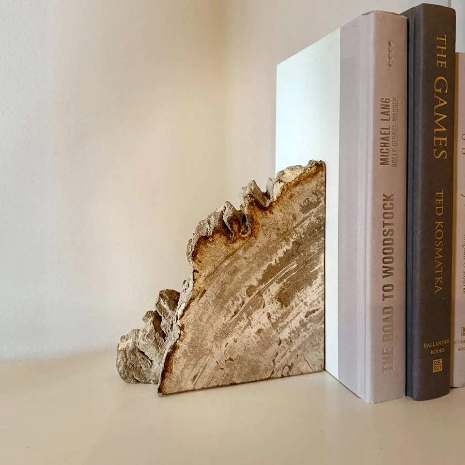 Petrified Wood Stone Bookend - photo 3
