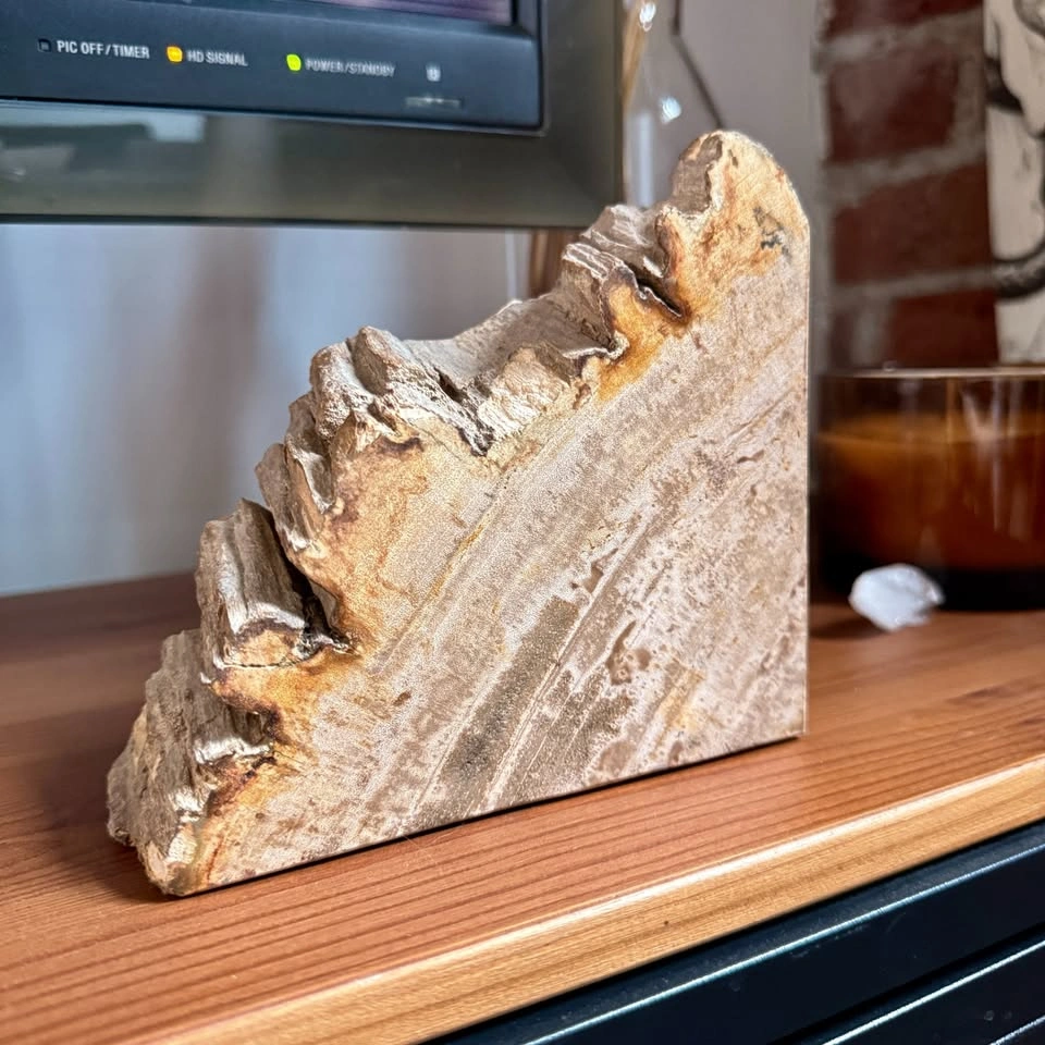 Petrified Wood Stone Bookend - photo 4