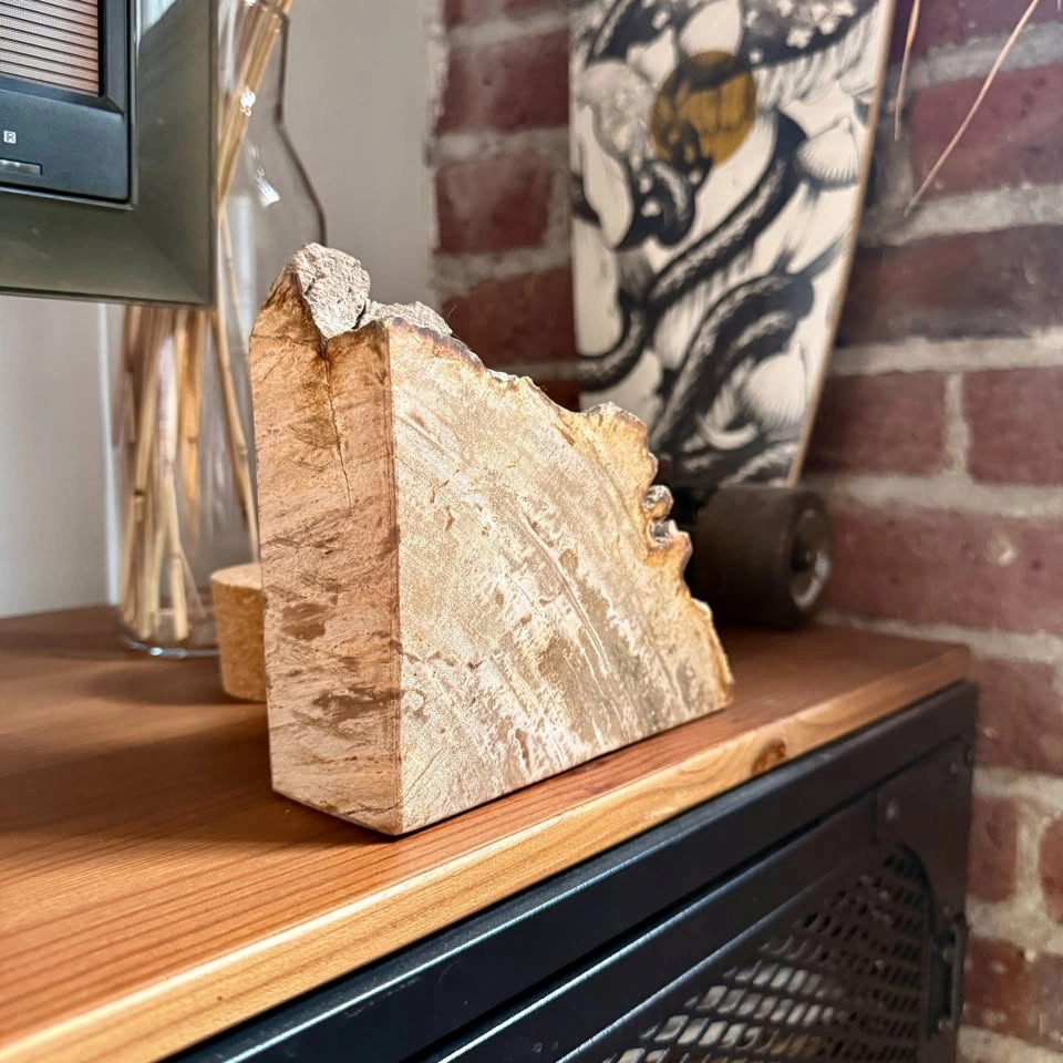 Petrified Wood Stone Bookend - photo 5