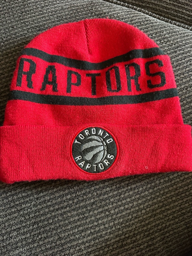 Raptors Hat
