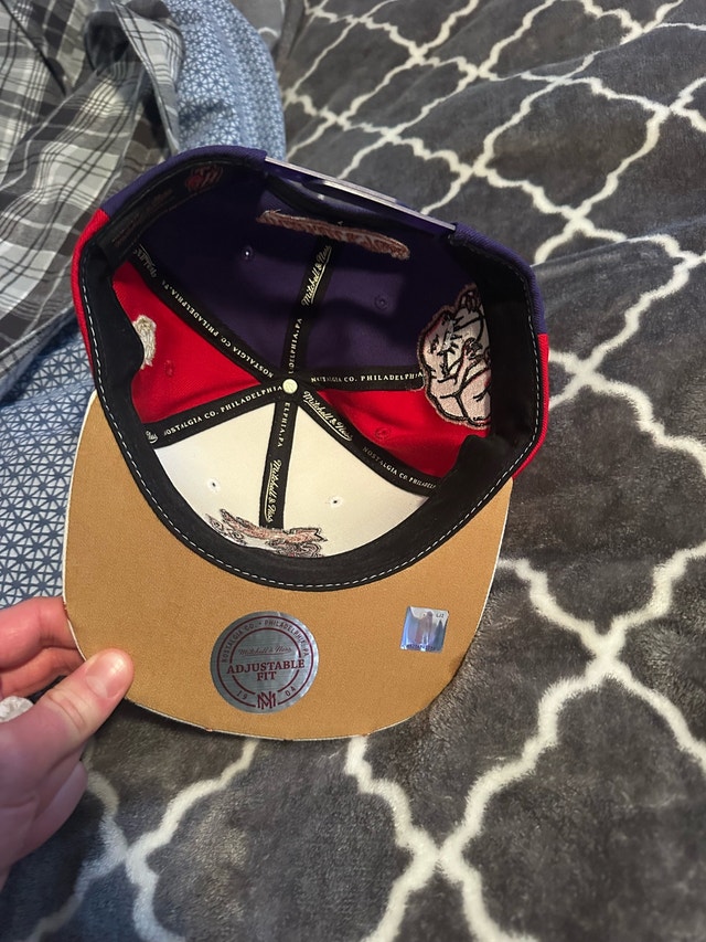 Toronto Raptors Hat - photo 2