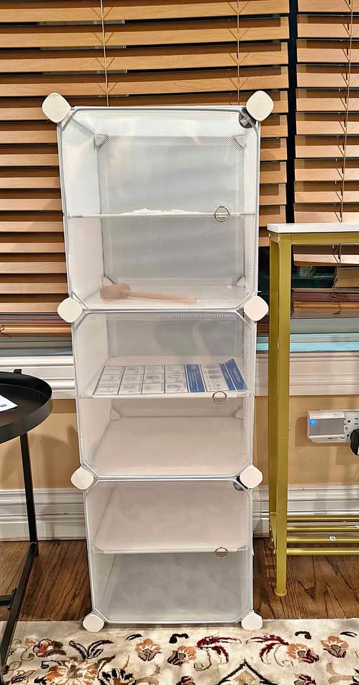 🥕3 Cube Storage Organizer with Door🥕