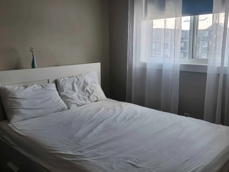 Bed sheet set - Moving Sale (Like New Condition) - photo 2