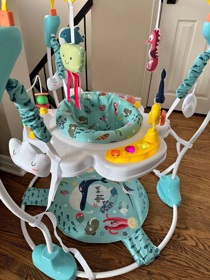 BNIB-Baby Activity Jumper