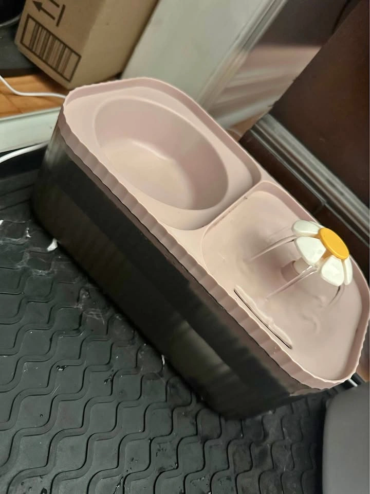 Water fountain for pets