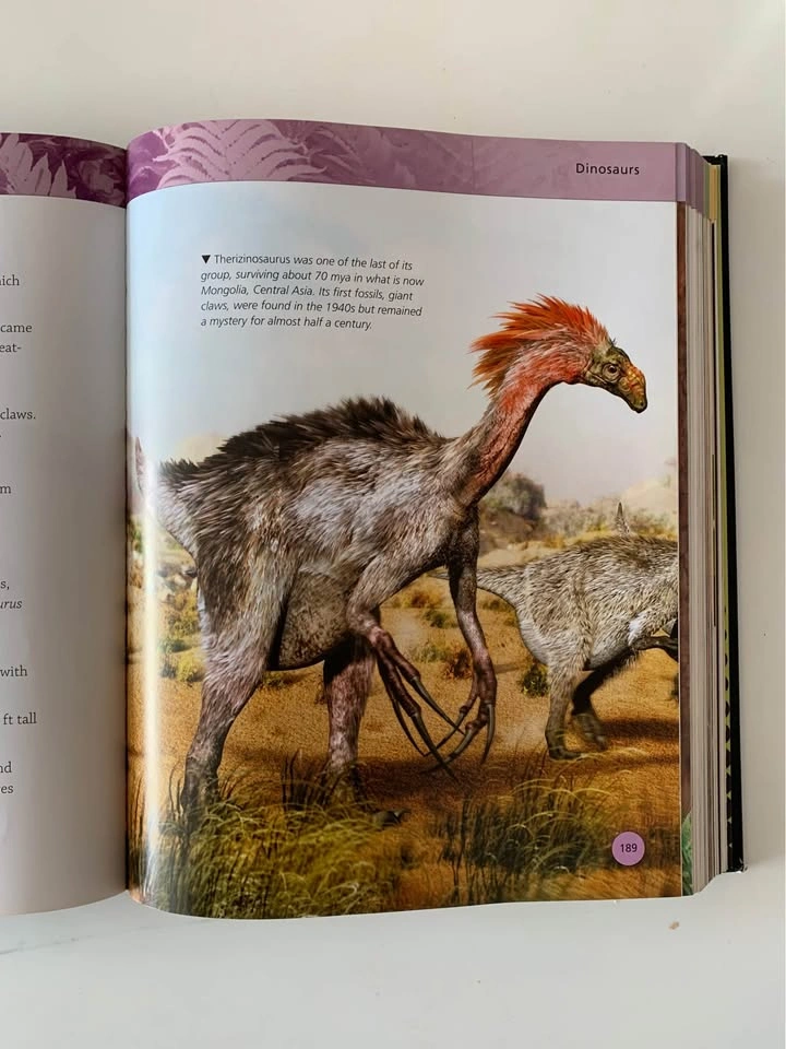 Encyclopedia of Dinosaurs and prehistoric life - photo 3