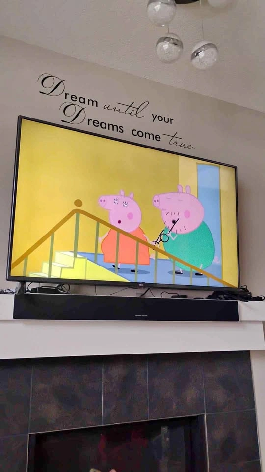LG 55" TV