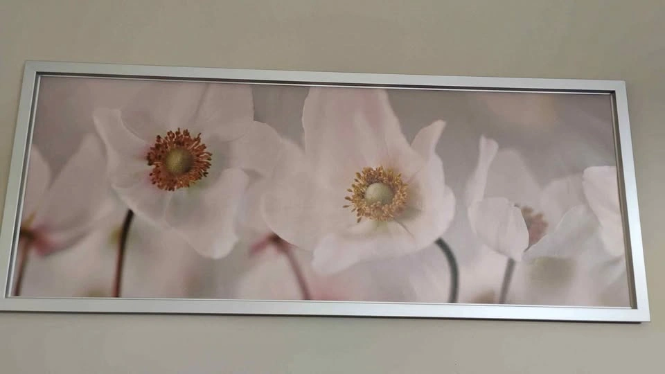Beautiful large white flower picture with silver frame