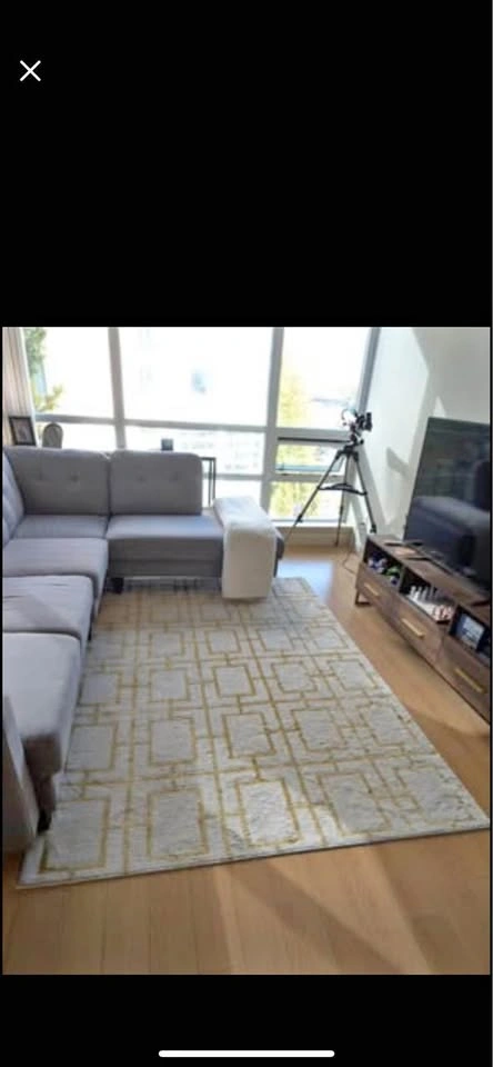 Gorgeous Golden and White Design Rug