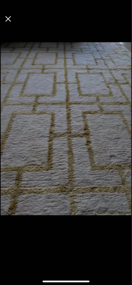 Gorgeous Golden and White Design Rug - photo 2