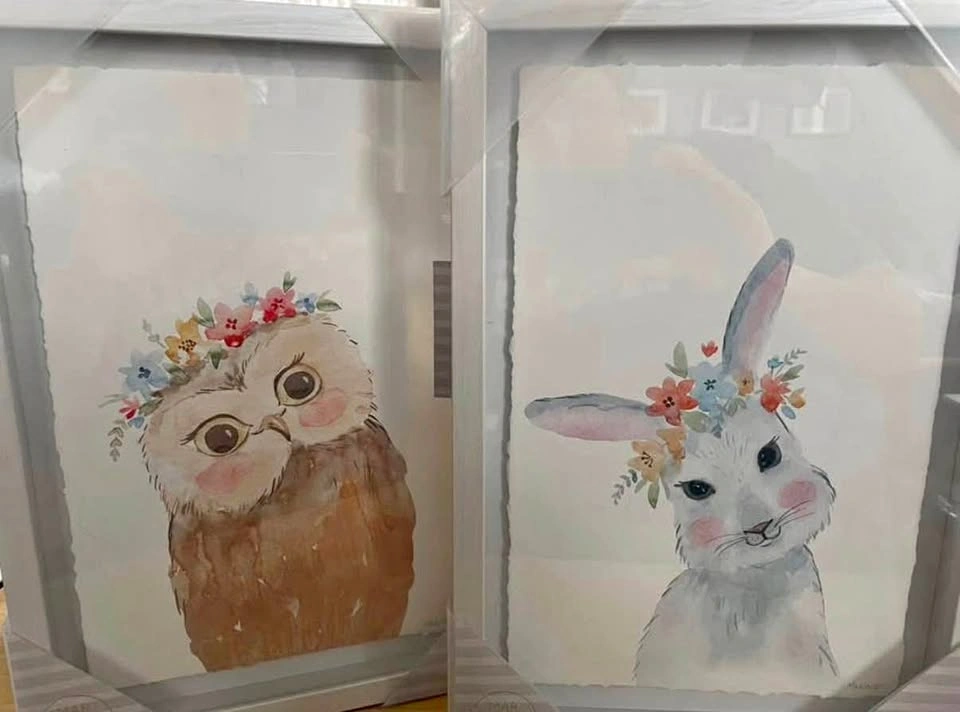 Marmot Hill Bunny & Owl Prints w/ Frames (Set of 2)