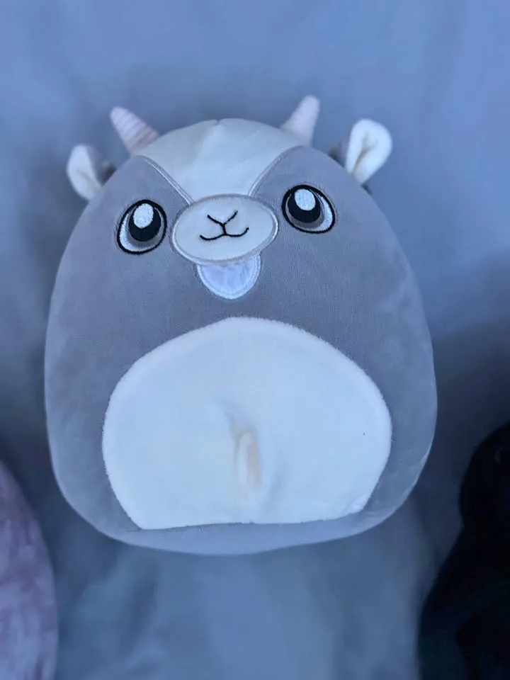 Walker Squishmallow 8" thumbnail