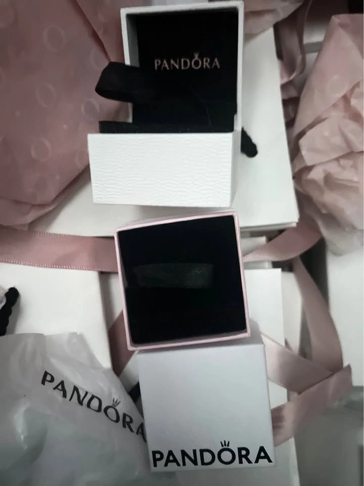 Pandora Gift Bags & Gift Boxes - photo 4
