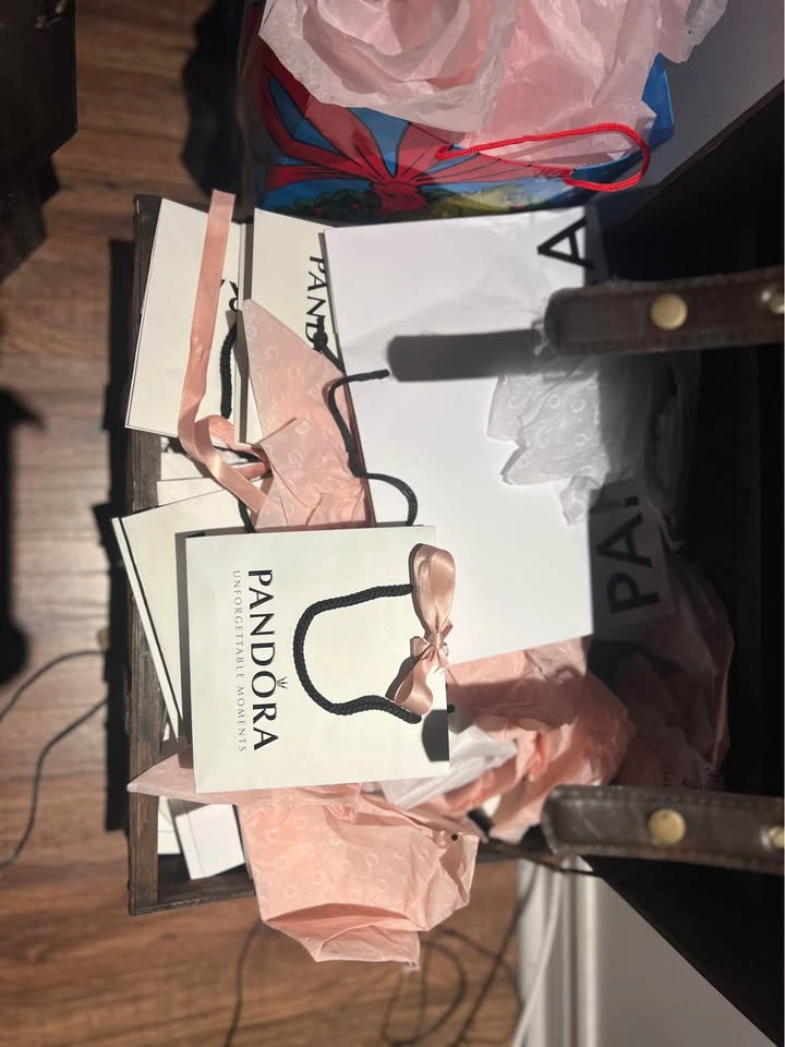 Pandora gift Bags - photo 2