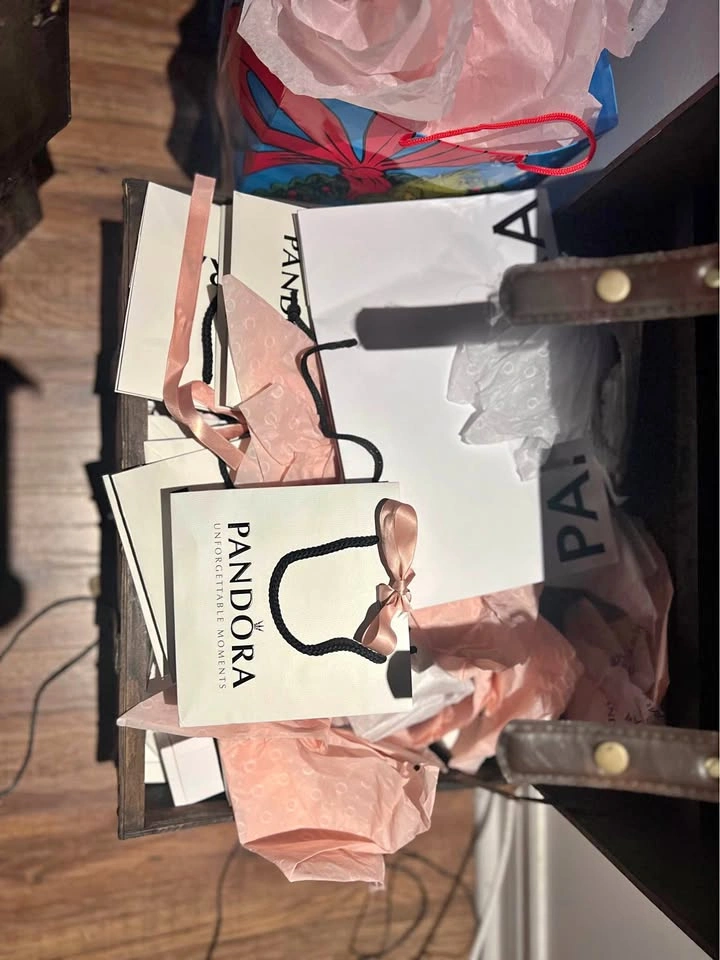 Pandora Gift Bags