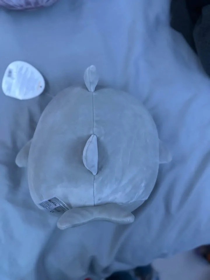 Gordan Squishmallow 8” With Tags image indicator(2)