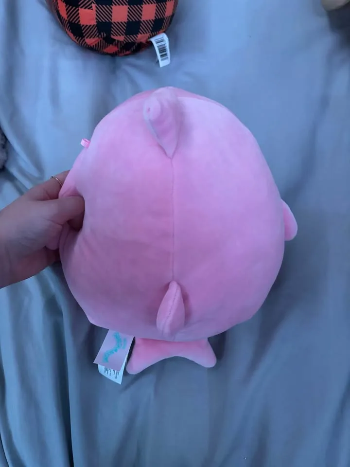 Squishmallow Valentines Day Shark (No Tag) 8” image indicator(2)