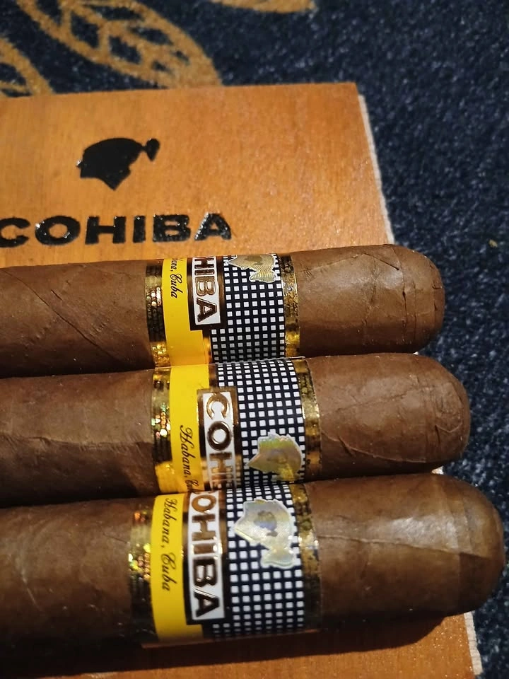 Authentic Cohiba Robusto Cigars - photo 4