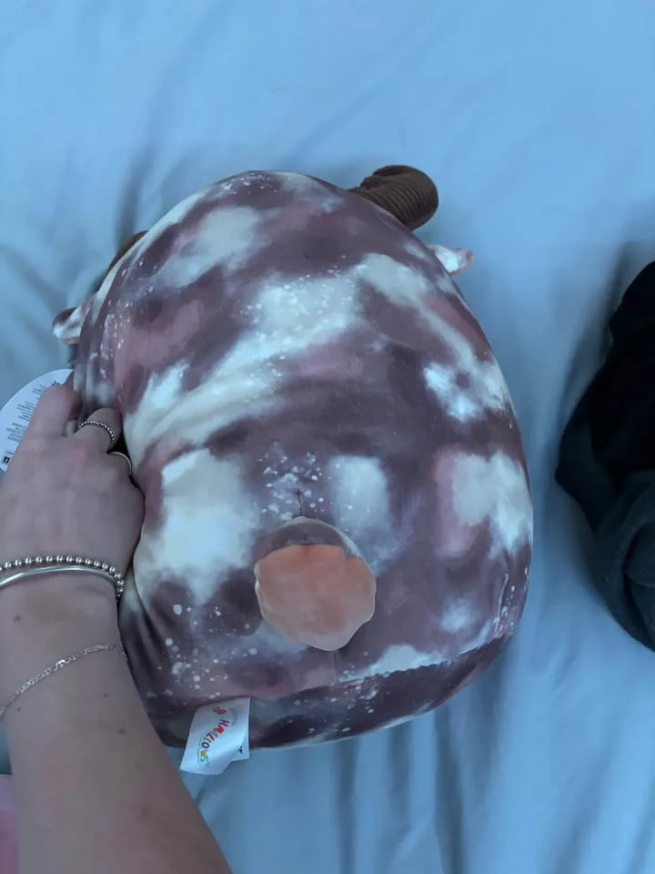 Squishmallow Rufus 12” (With Tag) image indicator(2)