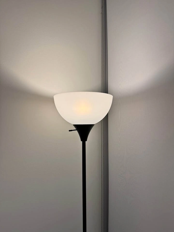 Black Floor Lamp with White Shade