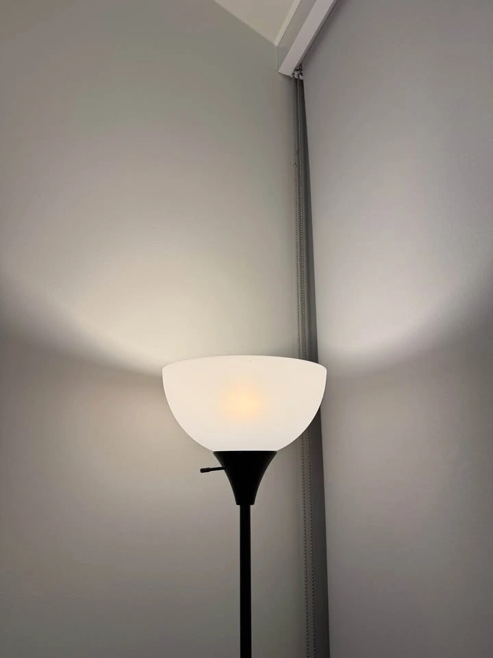 Black Floor Lamp with White Shade - photo 4