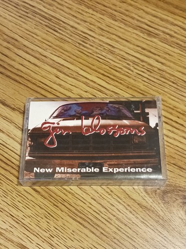Gin Blossoms - New Miserable Experience Cassette
