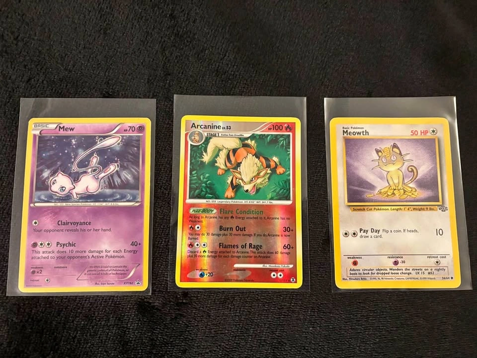 Old Pokemon cat bundle