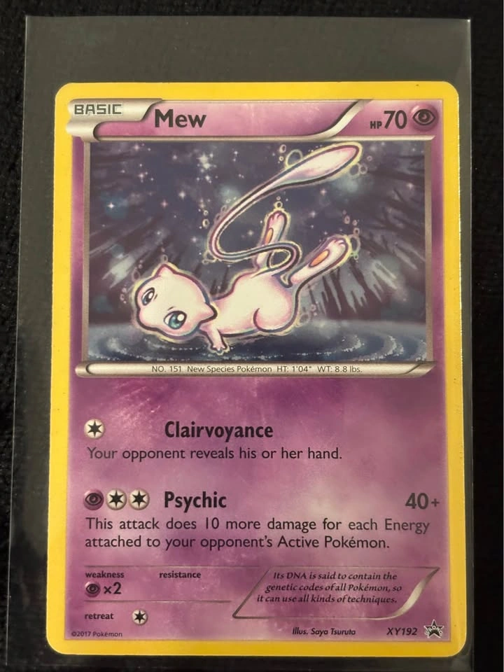 Old Pokemon cat bundle - photo 3