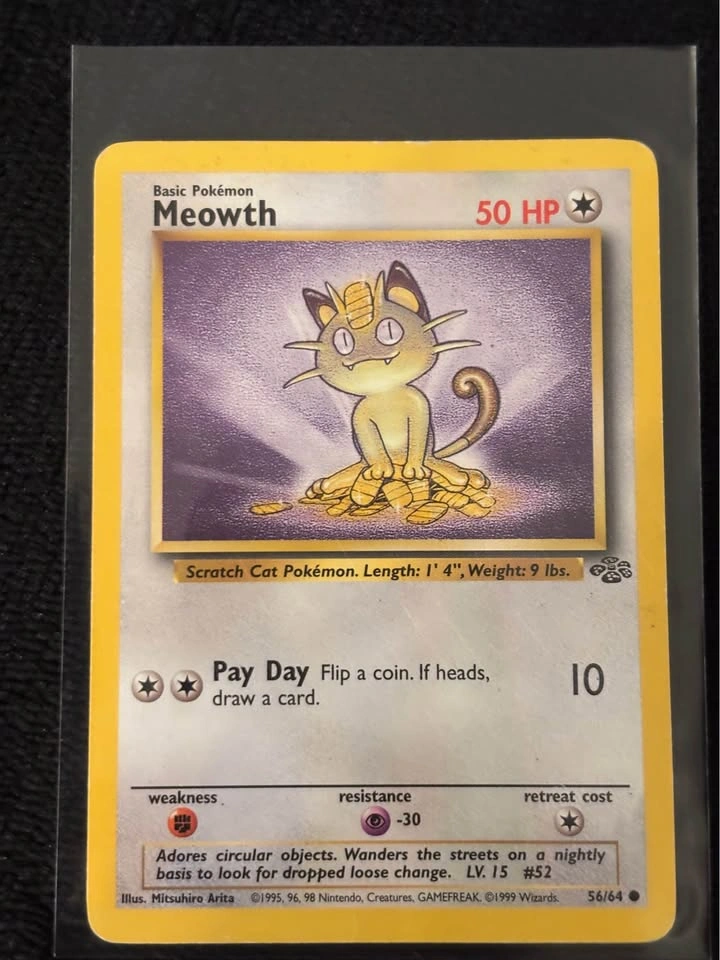 Old Pokemon cat bundle - photo 5