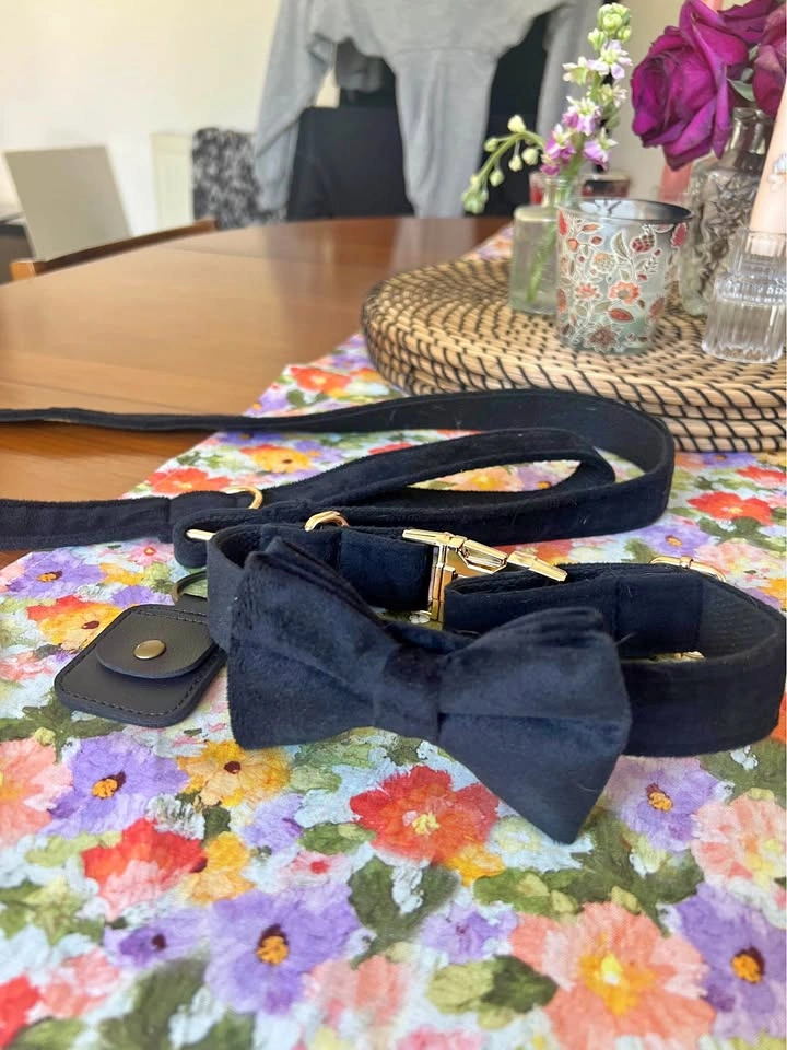 Dog Collar for Wedding (Black Velvet)