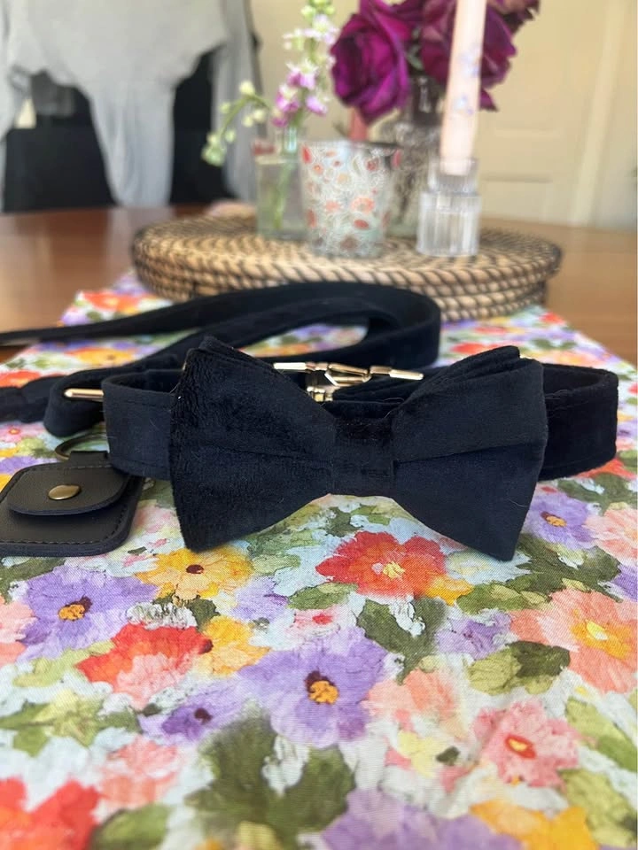 Dog Collar for Wedding (Black Velvet) - photo 2
