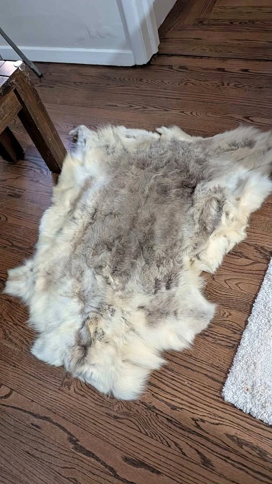 Outdoor Reindeer Hide