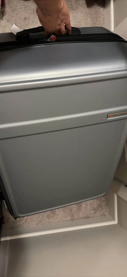 Air Canada Magnum 29" Hardside Checked Luggage - Silver - photo 3