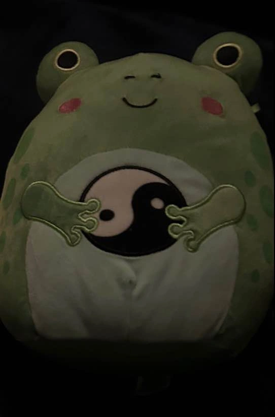 Micha the frog squishmallow - photo 2
