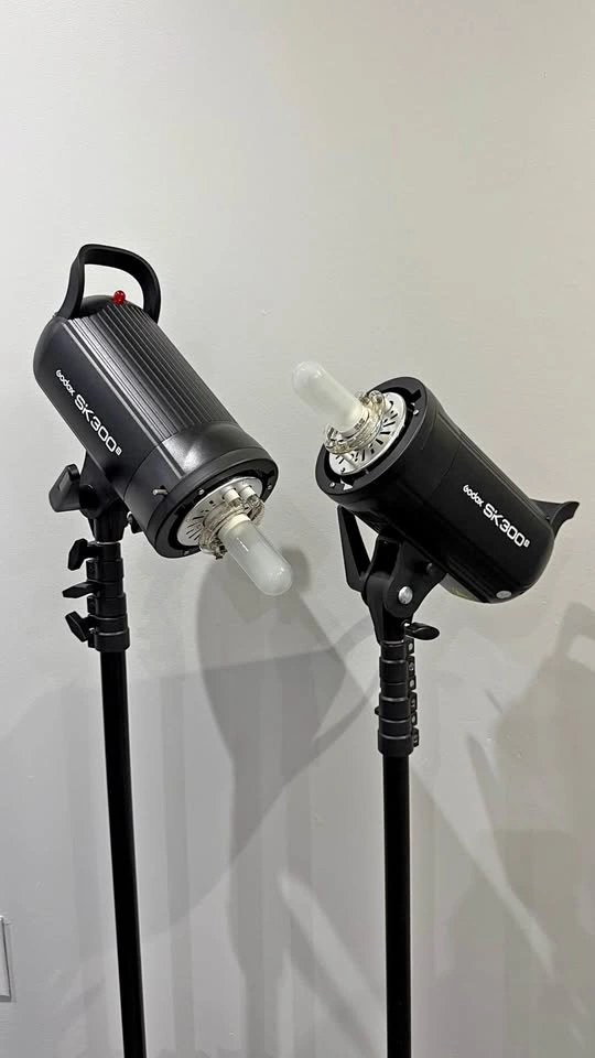 Godox SK300 II - set of 2 heads