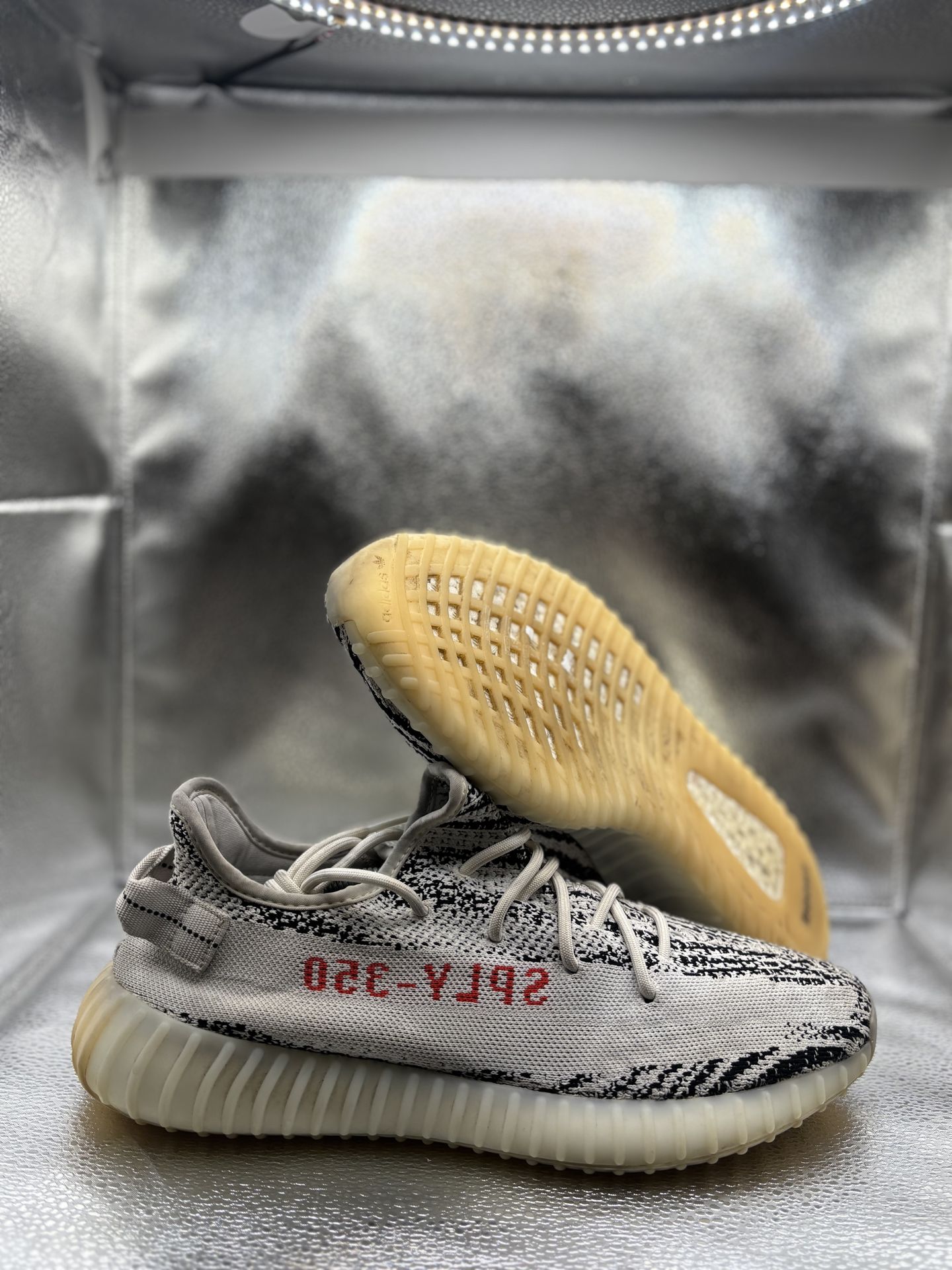 Adidas Yeezy 350 V2 Zebra