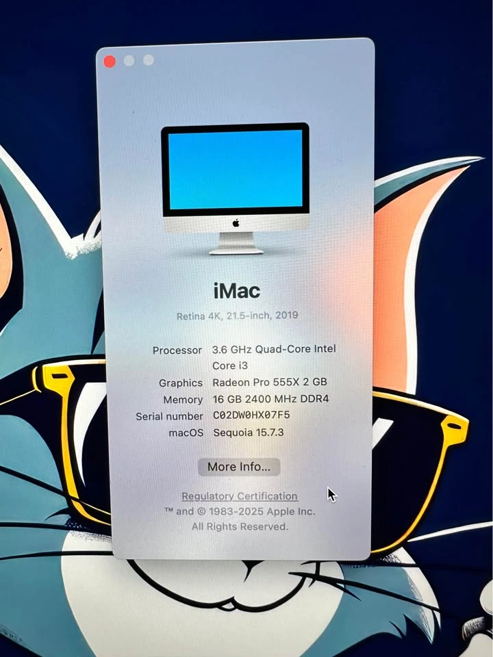 Apple iMac 21.5” Retina 4K (2019) - photo 2