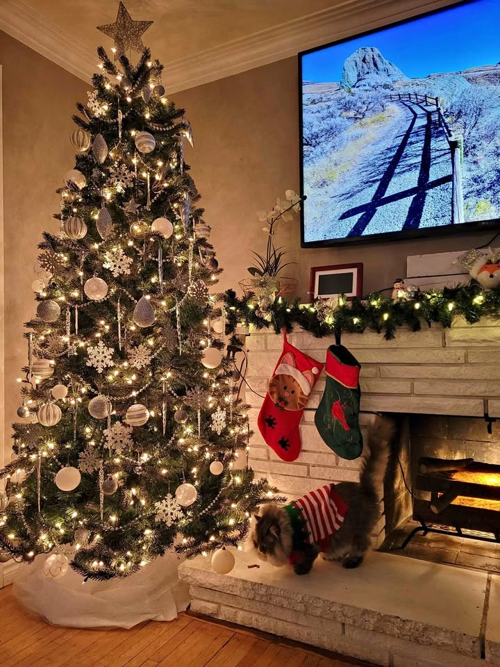 8ft Christmas Tree