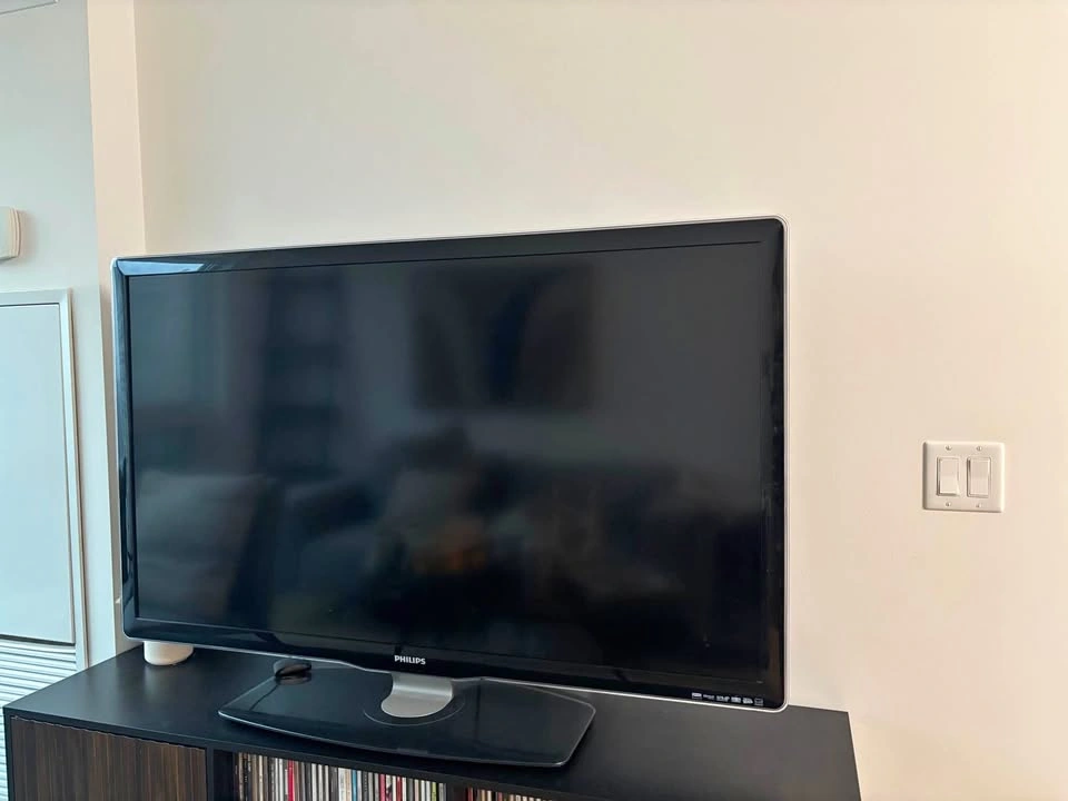 55” Phillips TV + Roku — works perfectly!