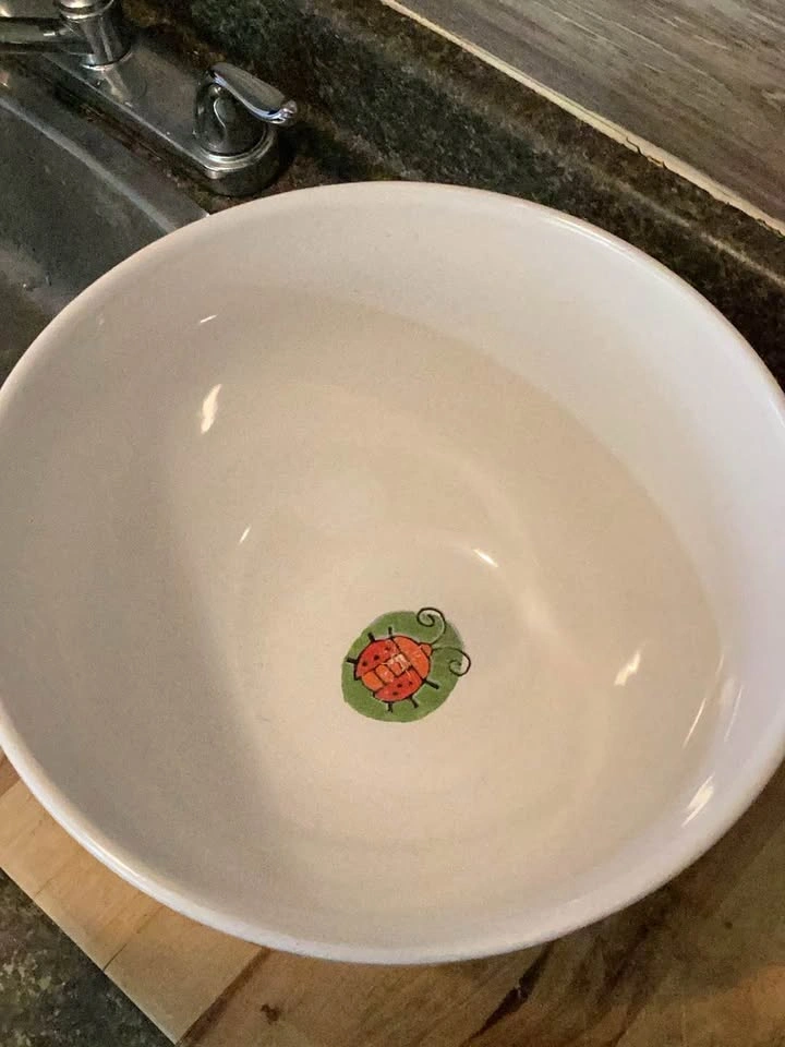 Ursula Dodge Stoneware Mixing Bowl - Living Garden Dragonfly Des - photo 3