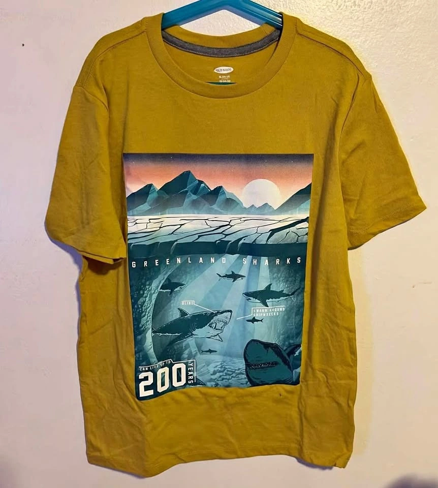 BOYS TSHIRT SIZE XL AGES 14-16