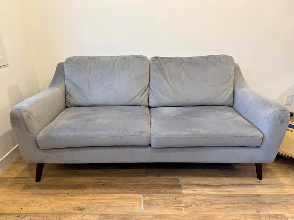 2 Seats Light Grey Velvet Sofa