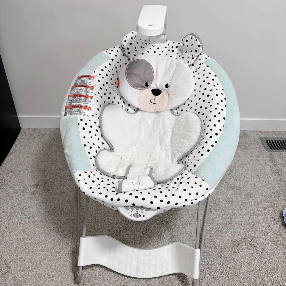 Fisher Price Deluxe Bouncer