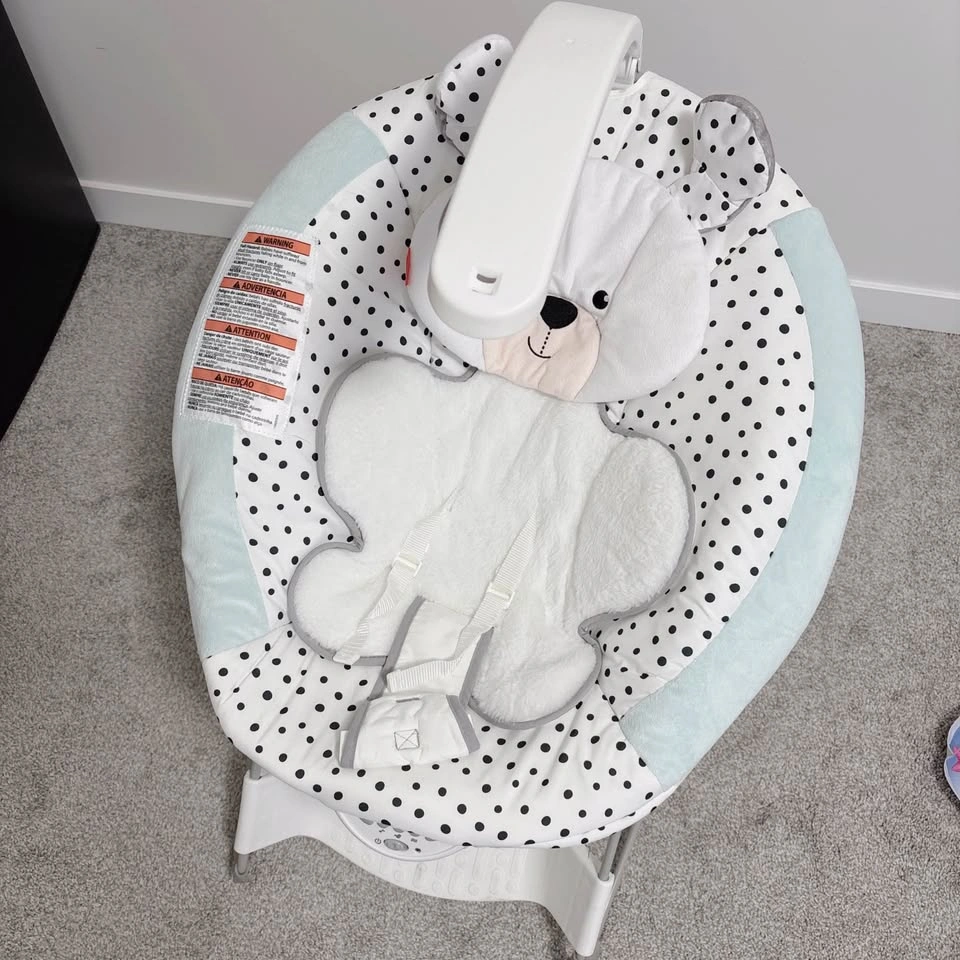 Fisher Price Deluxe Bouncer - photo 3