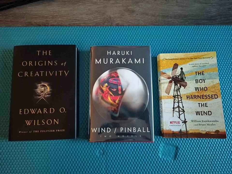 Murakami, Wilson, and fiction books
