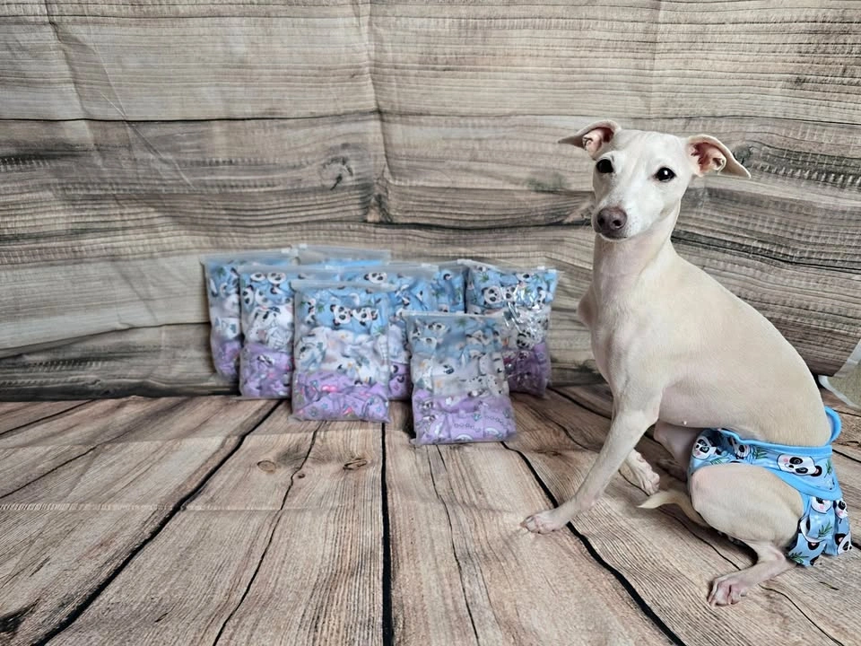 NEW Washable Dog Diapers Female - 3 Pack (Small)