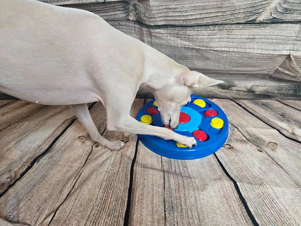 NEW Dog Interactive Toy