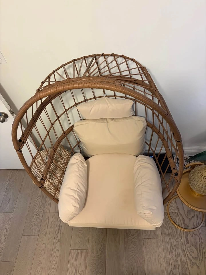 Wayfair Dellinger Egg Chair - photo 3